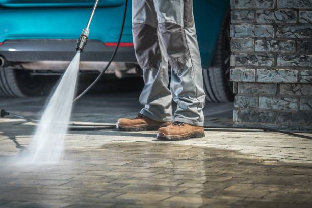 Best Soft Washing  in Tallahassee, FL